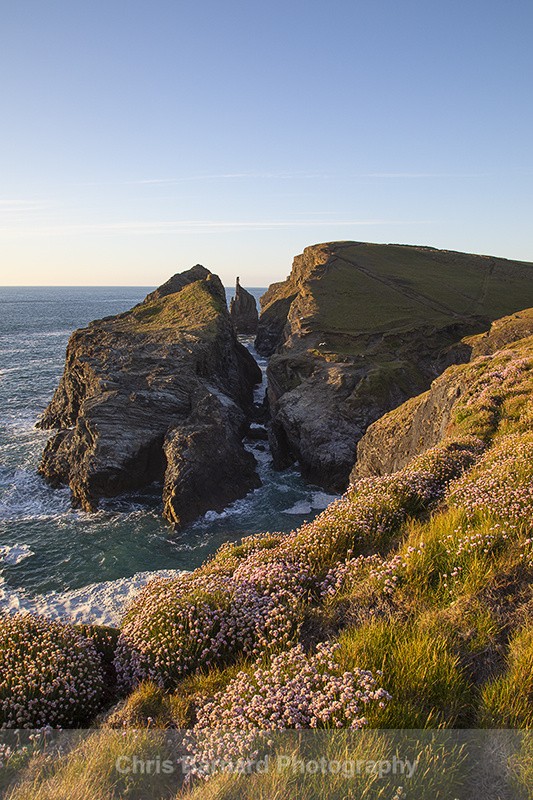  - Gunver Head North Cornwall