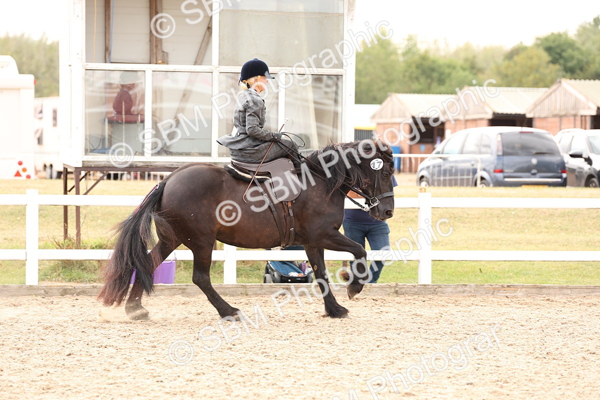 SBM_16397 - Class 211 - Best Side Saddle Horse - Pony