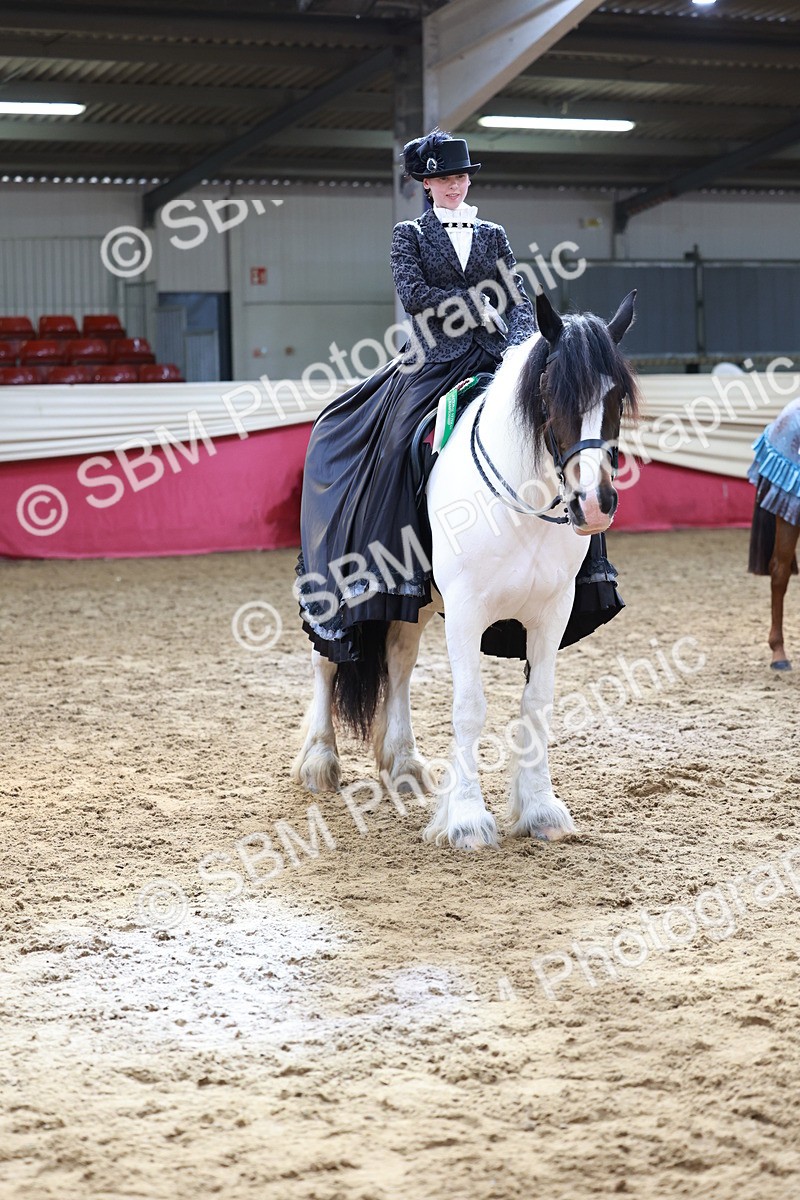 SBM_13825 - Class 106 - Ridden Costume -Astride Adult (15-19)
