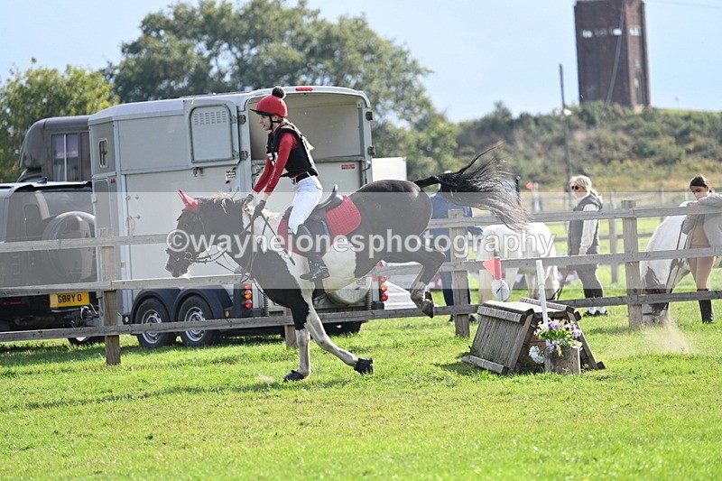 WJ7_4901 - 60cm Time 11:11 to 11:19