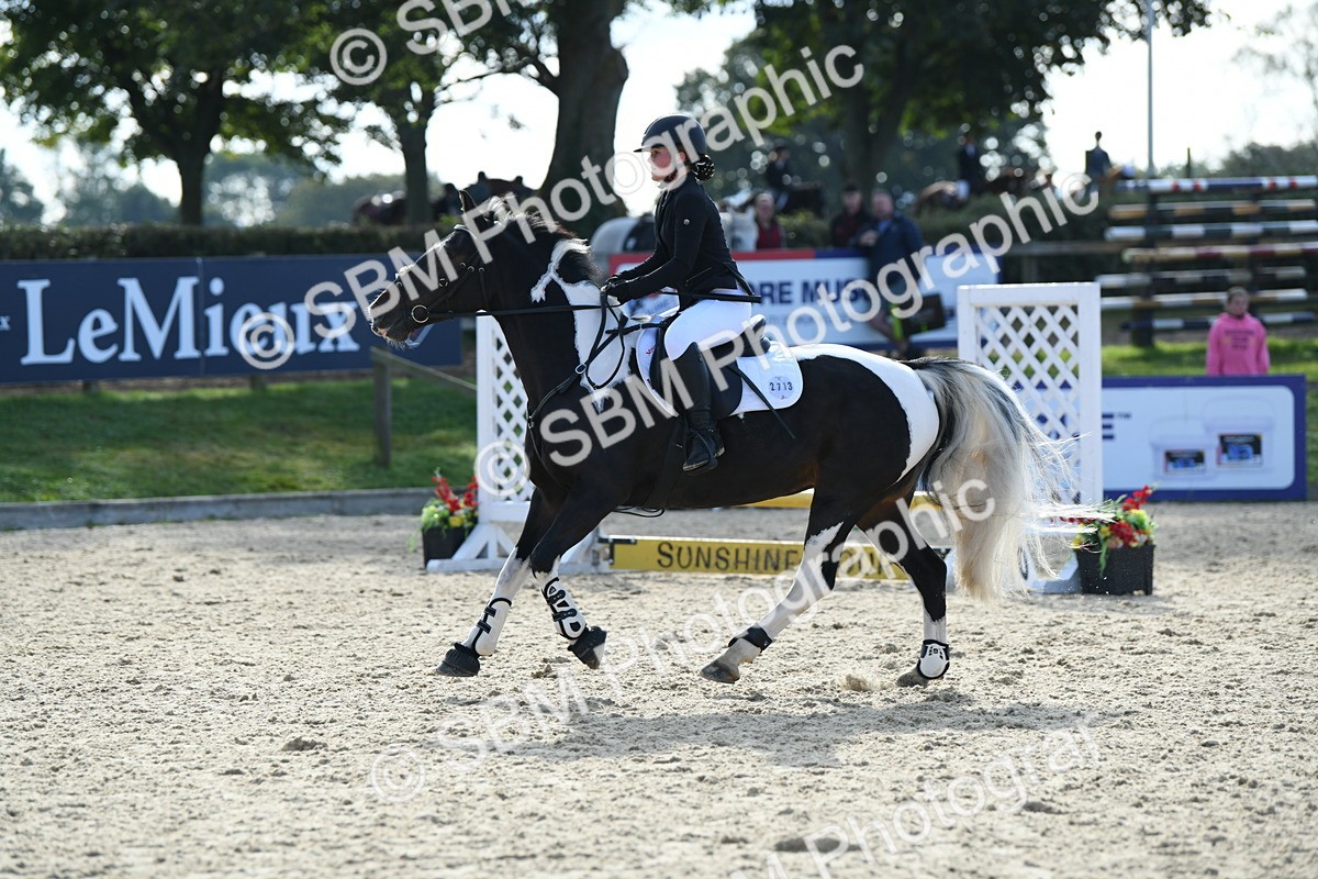 SBM_60757 - j25 - Junior Horse 80cm Championship