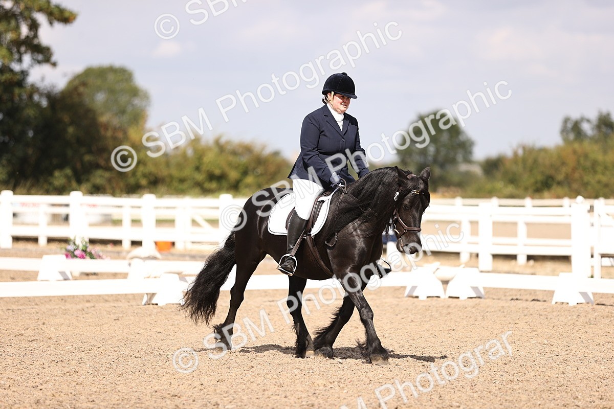 SBM_03678 - CLass 35 Intro 3