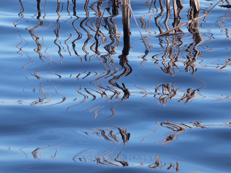  - Water gazing