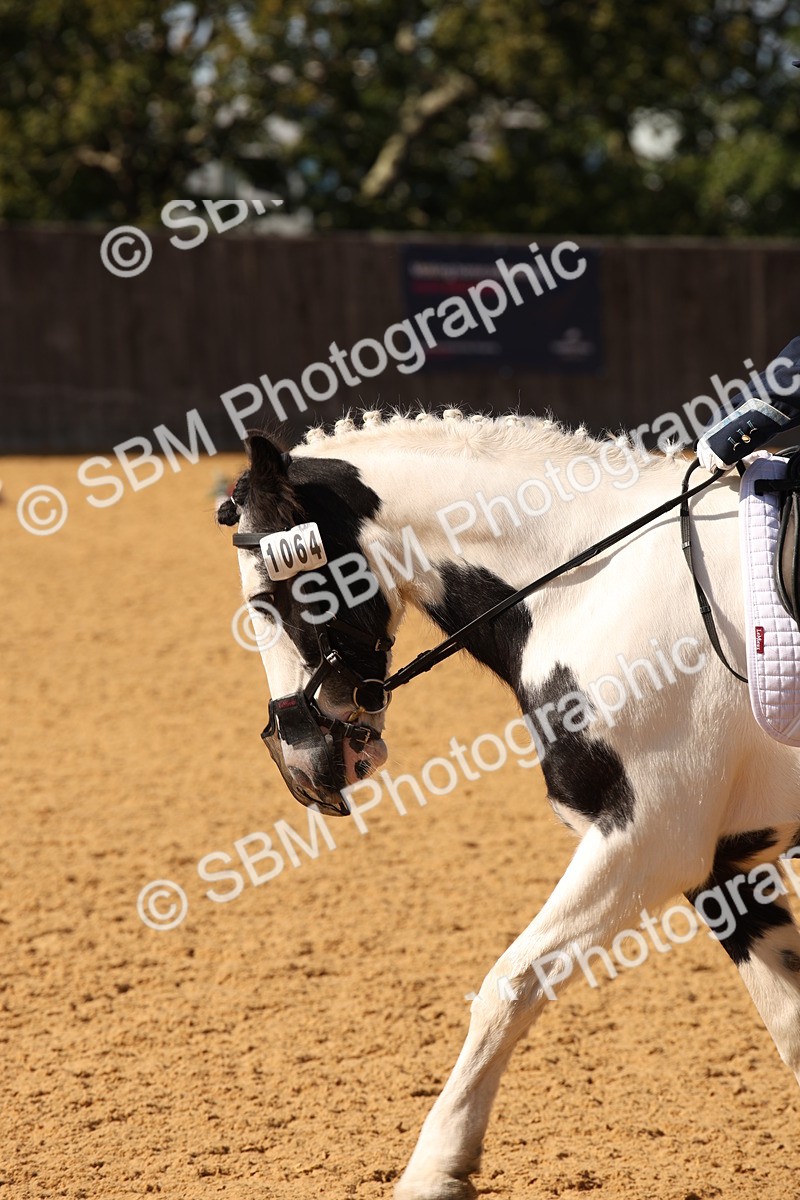 SBM_24277 - D5 - Small Tour Championship - Intro C