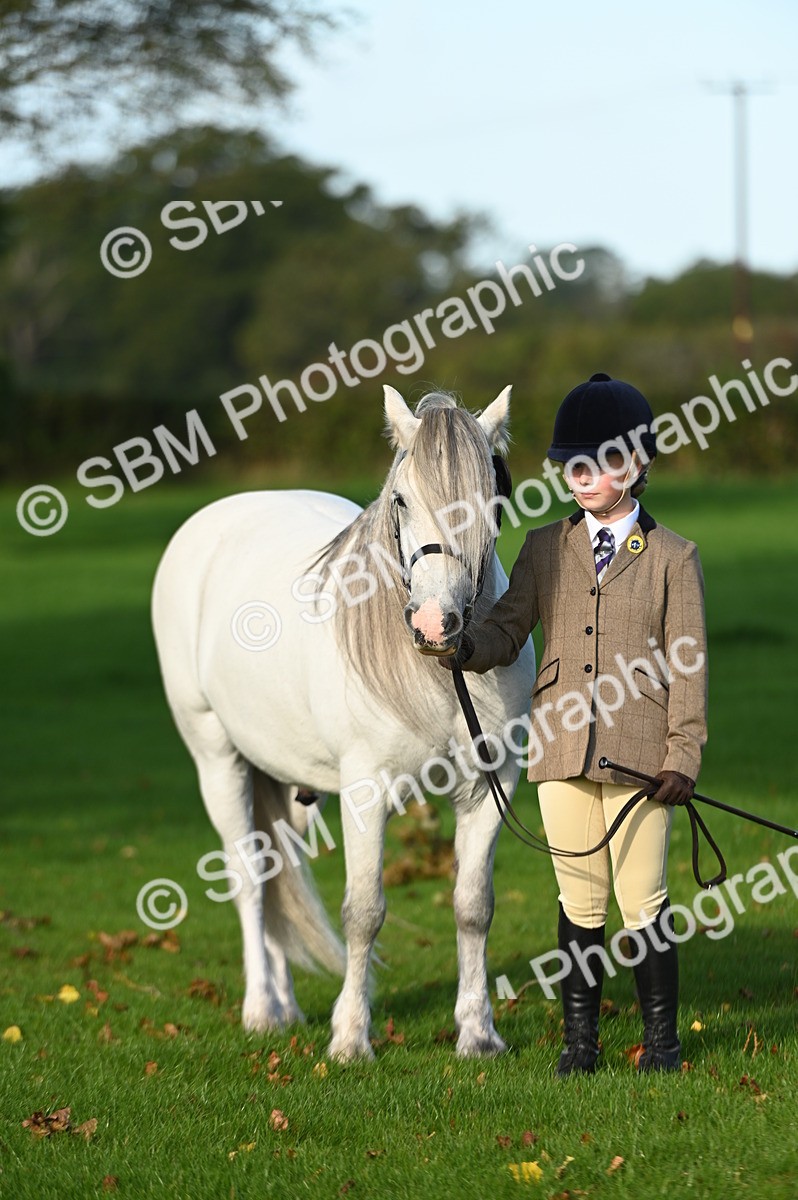 SBM_14735 - S1 - TSR in Hand Horse & Pony Showing