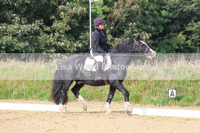 3E7A2302 - Class 1: Intro 4 2024 section A