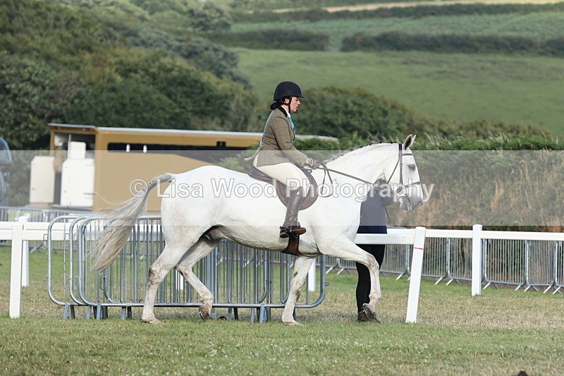 JPP_3518 - Class 22: Working Hunter 90cm