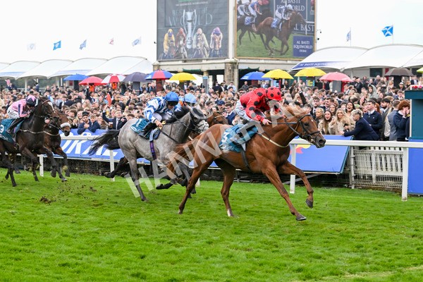 121024-Race 4-Fearless Freddy-3158 - Race 4 3.15pm Play Coral Racing-Super-Series For Free Nursery Handicap