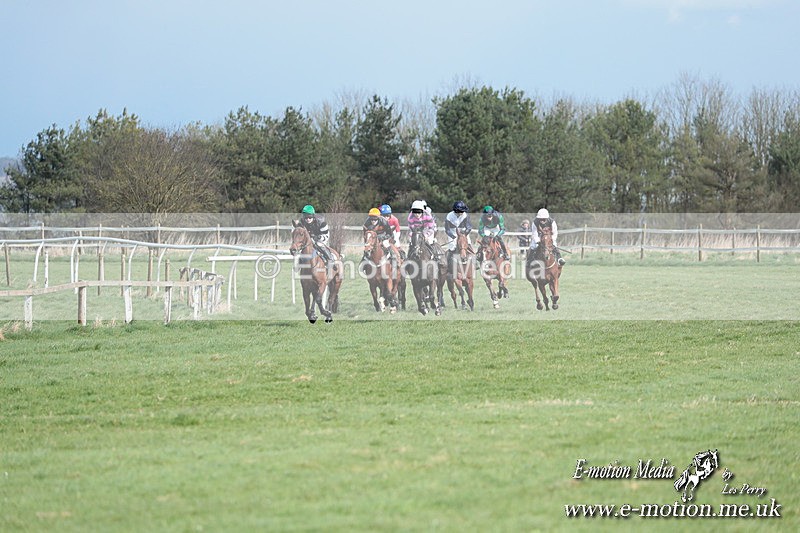 PtP 230324 498 - Tedworth Hunt PtP Larkhill Raccourse 23rd March 2024