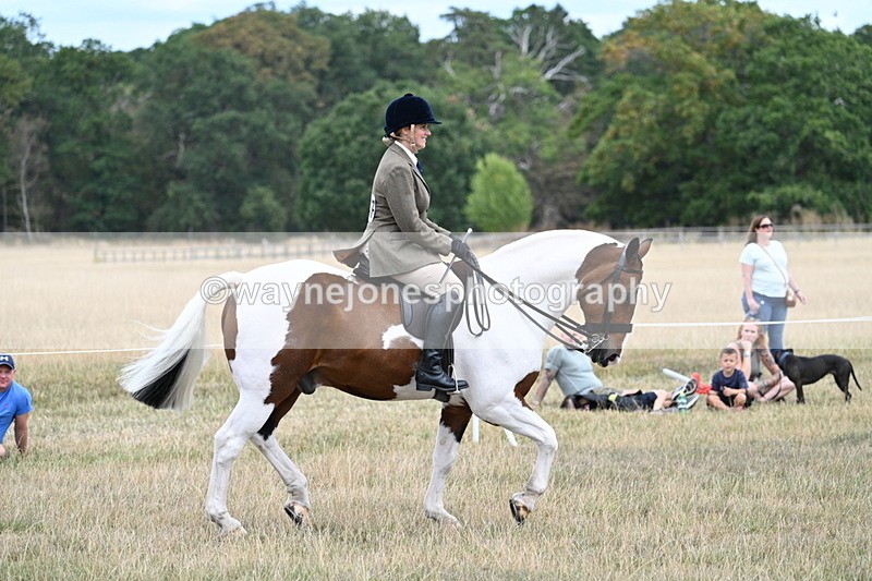 WJ7_4864 - Class 12 Ridden Cob