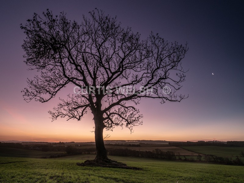 Colours of Dawn - THE SCOTSMAN - READERS GALLERY