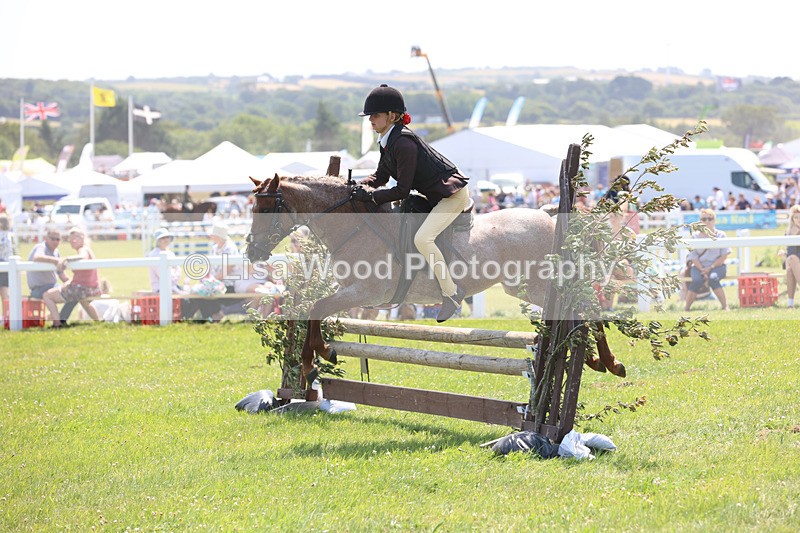 JPP_2970 - Class 22: Working Hunter 70cm