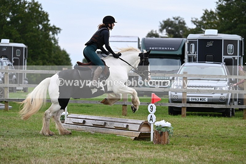 WJ7_7781 - 40cm Time 10:49 to 11:18