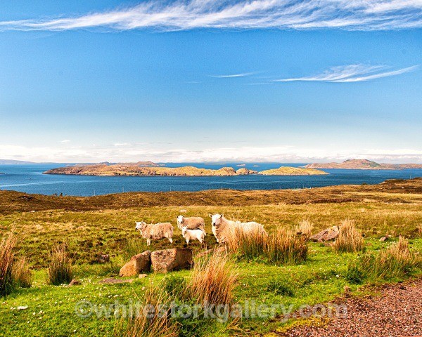 Views of Summer Isles - Scottish Highlands