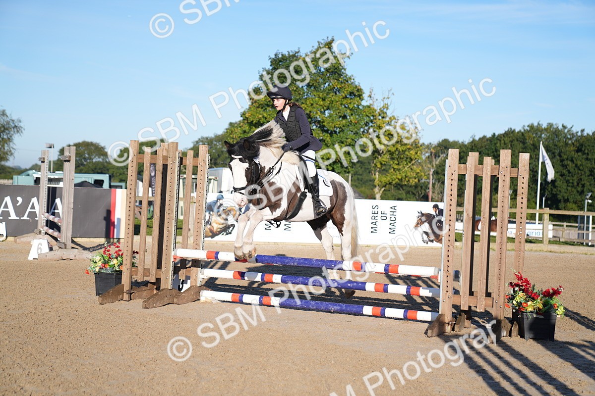 SBM_14001 - J59 - Clear Round - 65cm