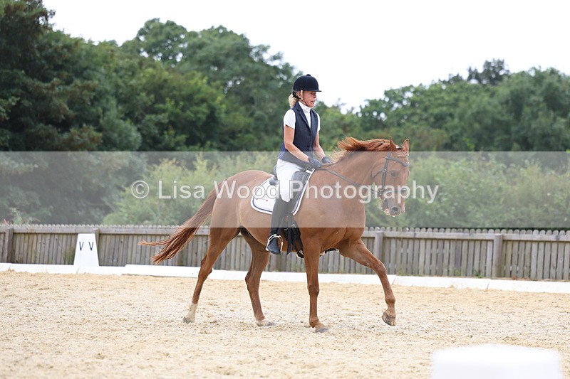 3E7A7442 - Class 9: Elementary 4 2024 - No sections