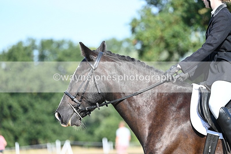 WJ7_9145 - Time 09:27 to 10:03