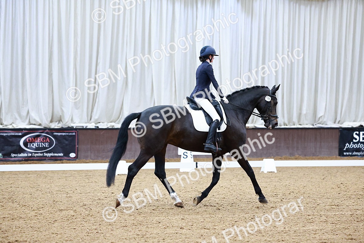 0B8A0235 - Class 4 - Novice 4