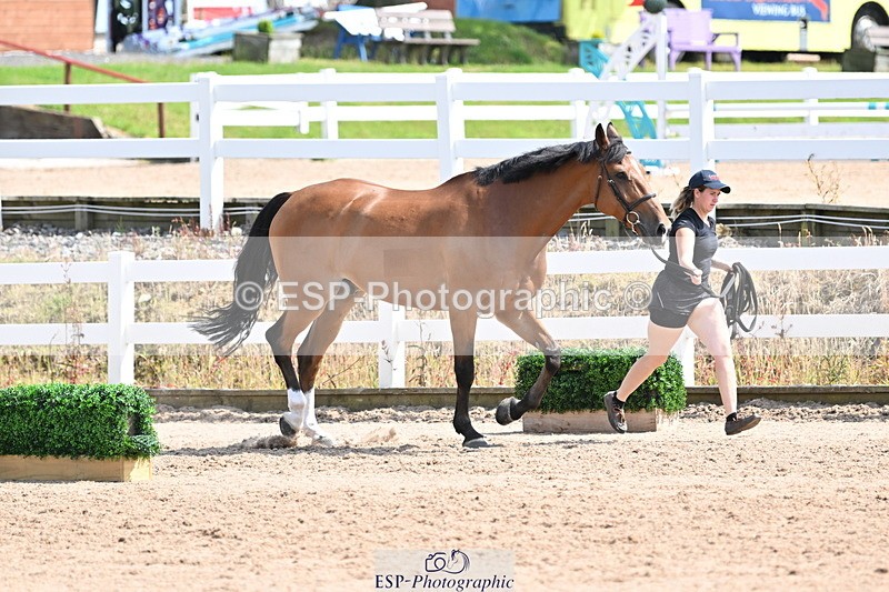 240717A-152300-02797 - Trot Up 3pm to 4pm