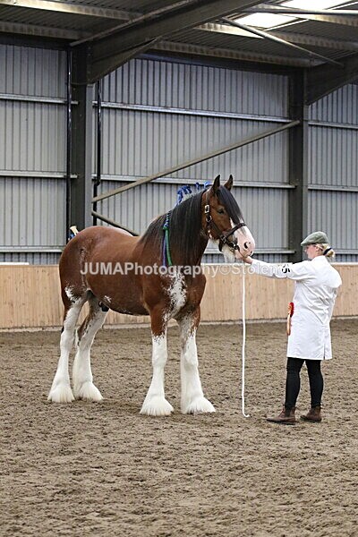 SIAL2173 - sunday 14th Set In Hand