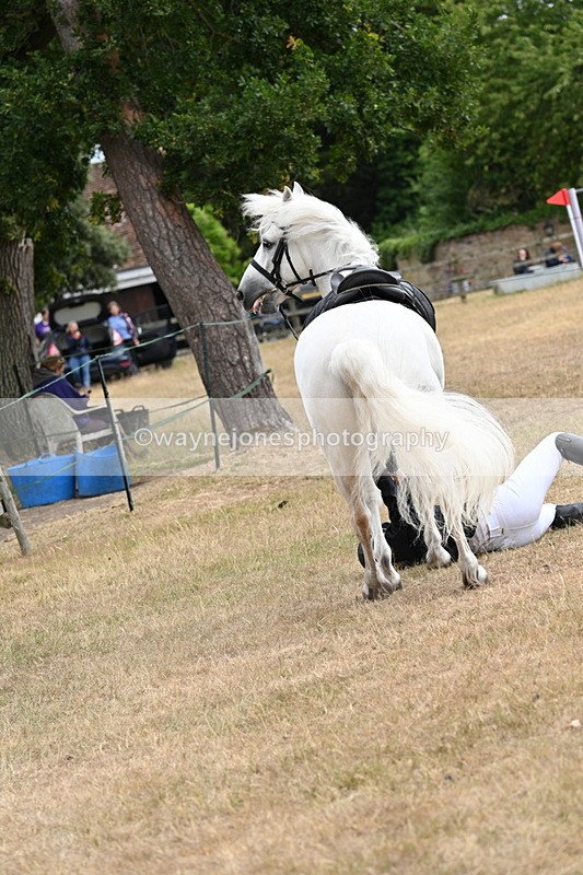 WJ7_0406 - Class 6 Ridden Mountain and Moorland