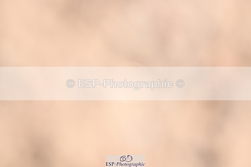 240622A-090913-06714 - Cls 23 BD Prelim 19