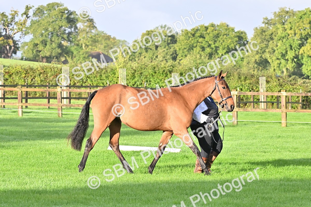 SBM_32595 - S15 - Top Turnout In Hand