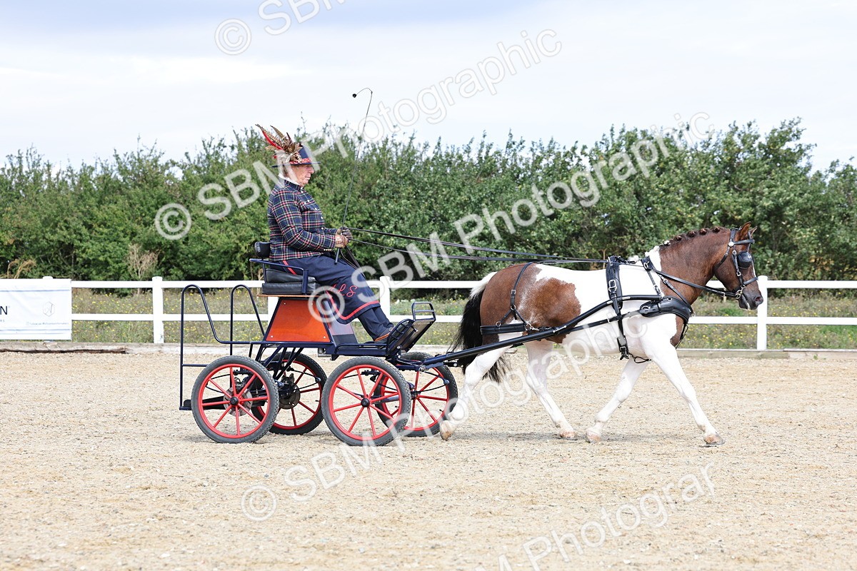 SBM_001014 - Class 10 - Veteran Driver