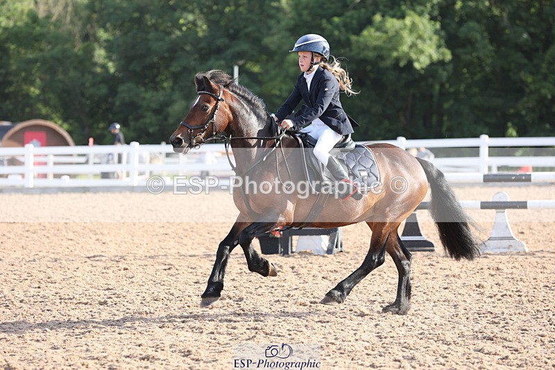 240629A-074311-02199 - Cls 16 British Novice and 80cm Open