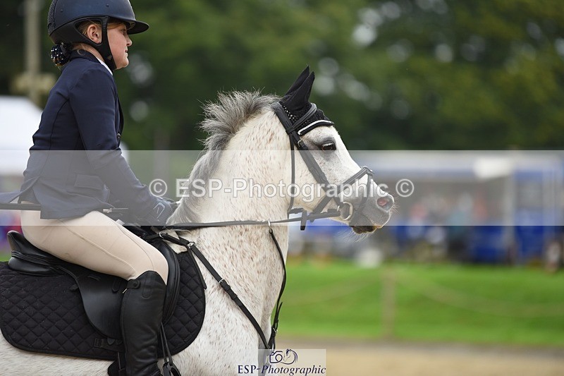 231001-123056-02411 - Cls 2 80cm 12.20 to End