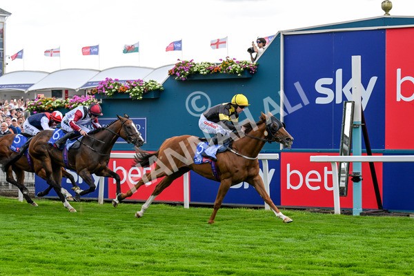 260725-Race 4-Air Force One-0637 - Race 4 3.20pm Sky Bet 'Jump Jockeys' Nunthorpe' Handicap