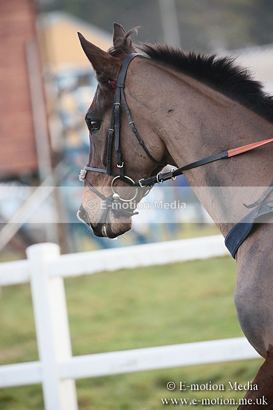 PtP 170219 -716 - Combined Services Point-To-Point Larkhill 17/02/19