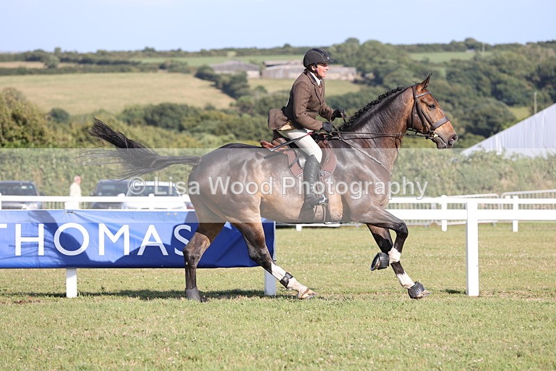 JPP_3100 - Class 21: Working Hunter 80cm