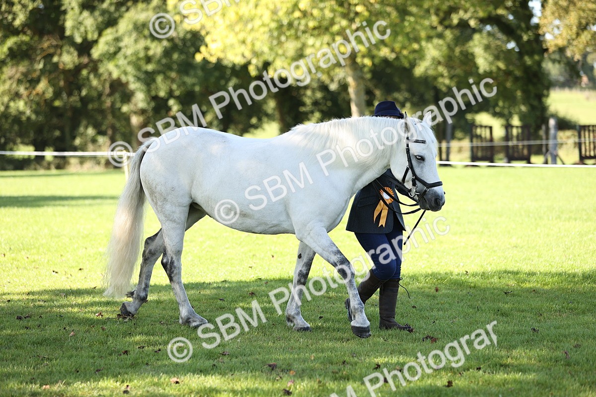 SBM_15956 - S1 - TSR in Hand Horse & Pony Showing