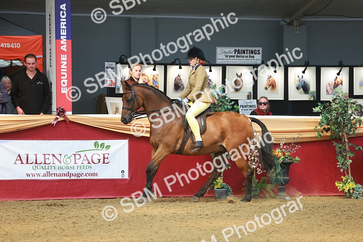 SBM_12590 - Class 103 - HOYS Veteran Qualifier - Ridden Pre Vet