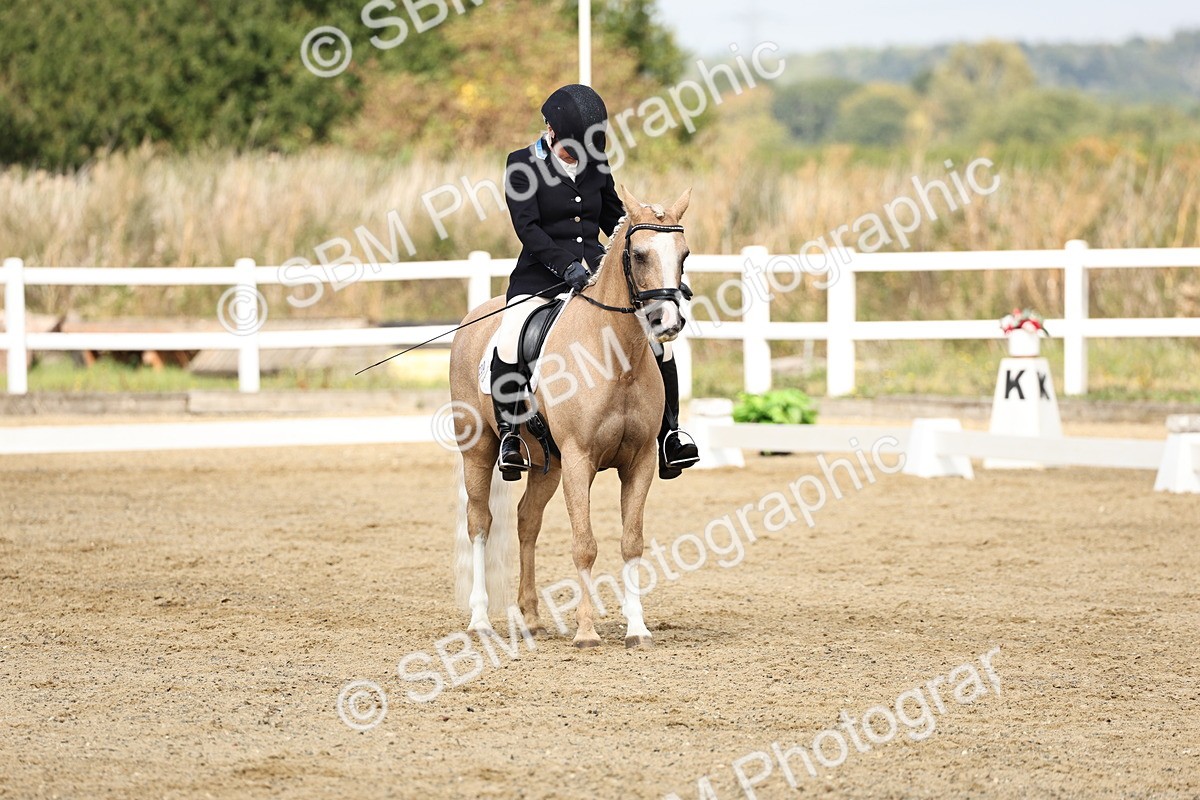 SBM_018221 - Class 16 - Novice 5 - 11.12-12.01