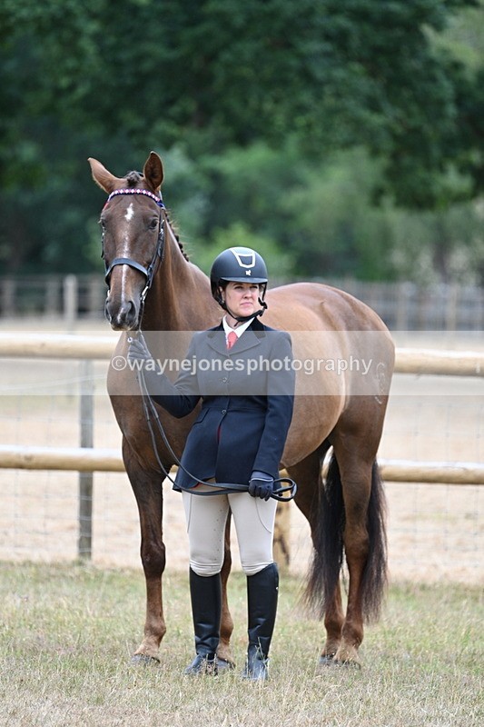 WJ7_9834 - Class 5a Most Handsome Gelding (above 14.2hh)