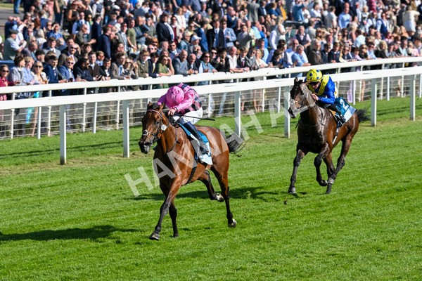 160525-Race 6-Bowmark-7155 - Race 6 4.55pm Darley EBF 'Confined' Novice Stakes