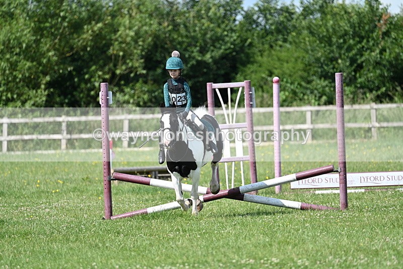 WJ7_0419 - 40cm