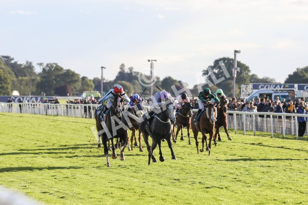 141023-Race 6-Punctuation-0642 - Race 6 4.10pm Coral Get Closer To The Action Handicap