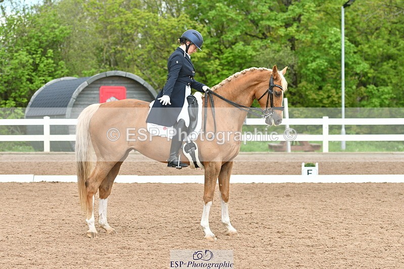 230511A-160052-01271 - BD Cls 18 FEI PSG