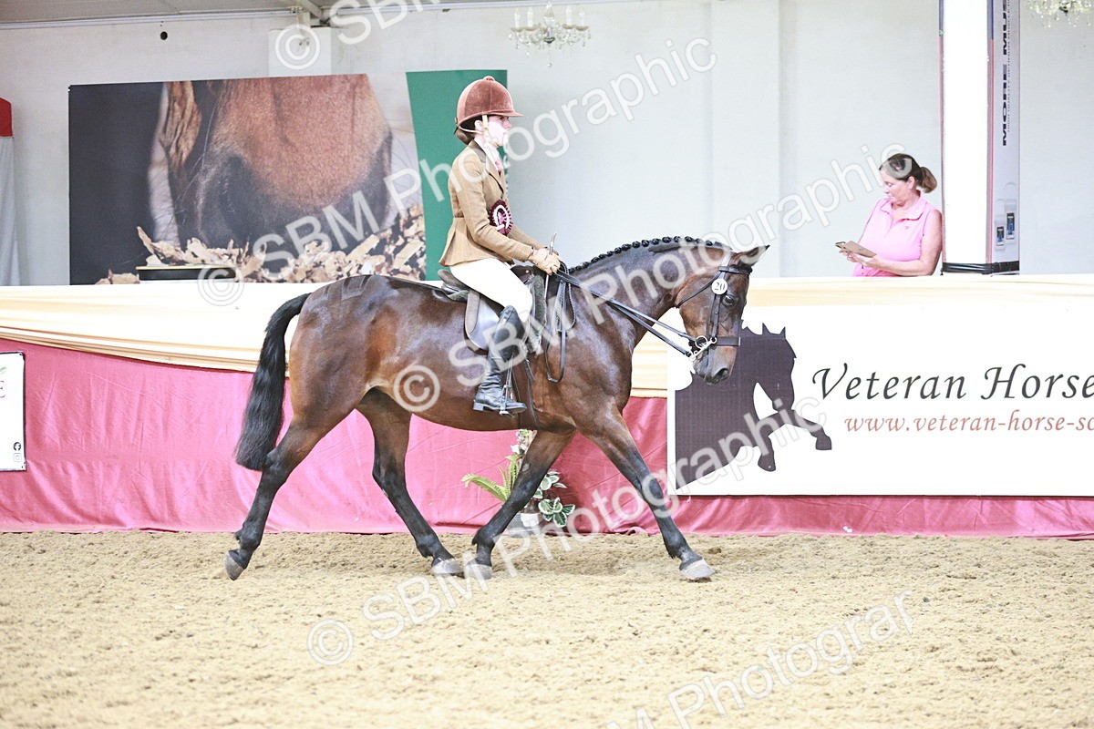 SBM_08638 - Regional Ridden Champ