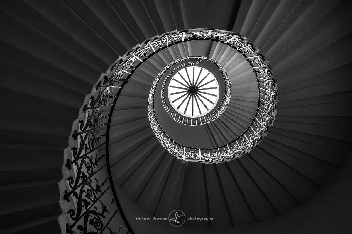 Spiral Tulip - Urban