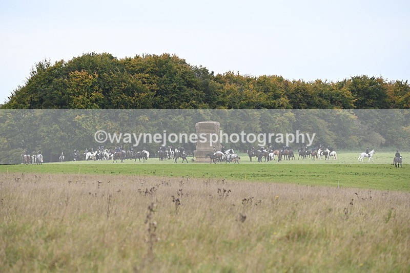 WJ6_0856 - Camera 2 Line 1