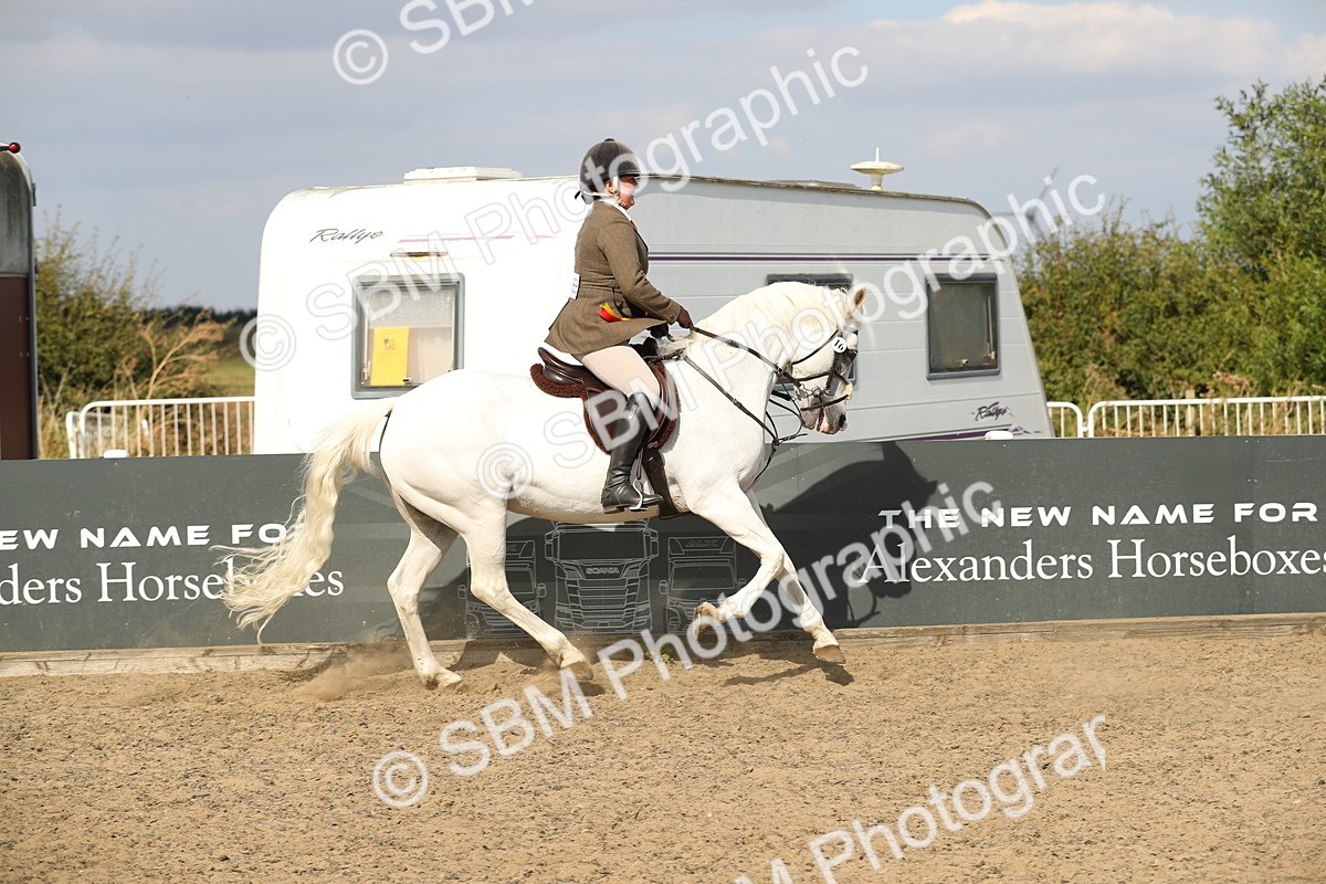 SBM_06941 - Class 49a Style & Performance 80cm (15-19)