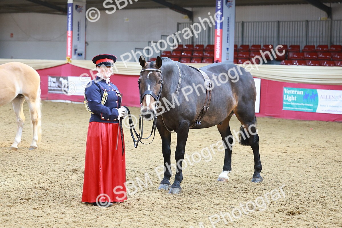 SBM_13655 - Class 104 - IH  Costume