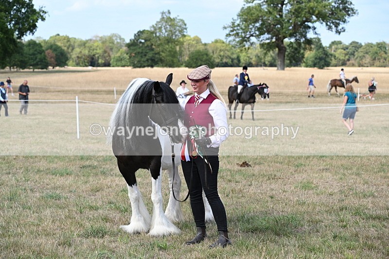 WJ6_6741 - Class 20 In-hand Cob