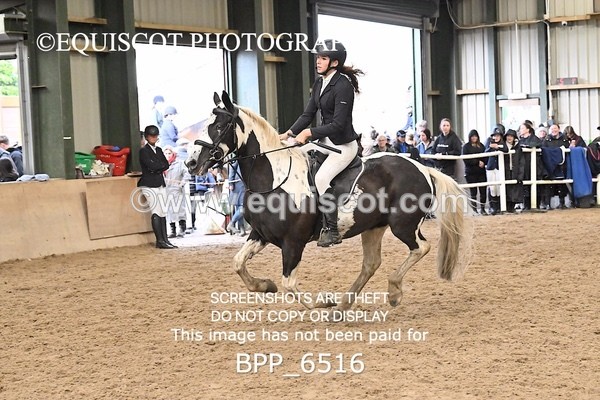 BPP_6516 - CLASS 4 - 60-70CM