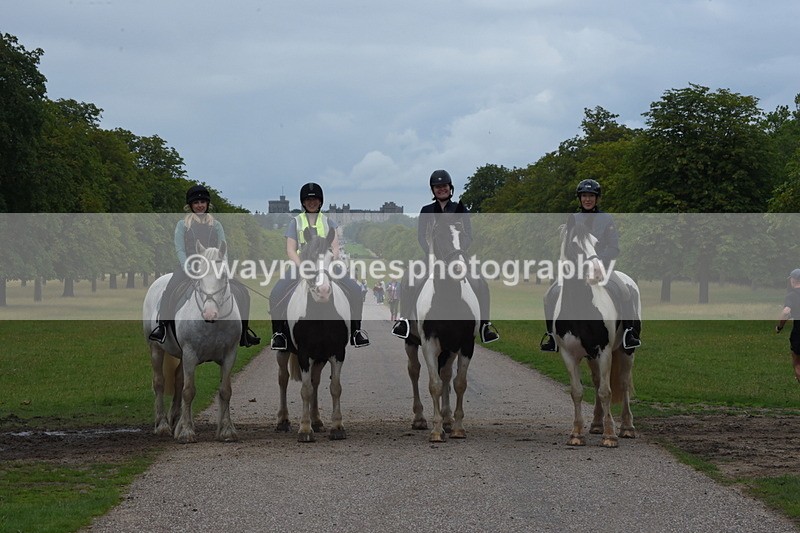 TT3_9563 - Time at Crossing 11:28 to 13:16