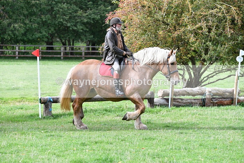 WJ5_9339 - Time 13:03 to 13:25